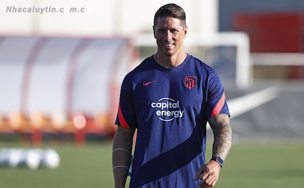 Cầu thủ Fernando Torres