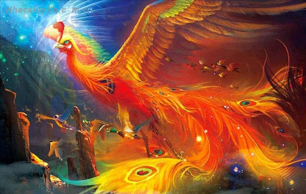 Mộng thấy chim phượng hoàng nhiều vận may sẽ tìm đến chủ nhân giấc mộng